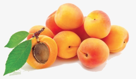 Download Apricot Png Photos 035 - Apricot Png, Transparent Png, Transparent PNG