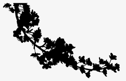 Silhouette Cherry Blossom - Cherry Blossom Branch Silhouette, HD Png Download, Transparent PNG