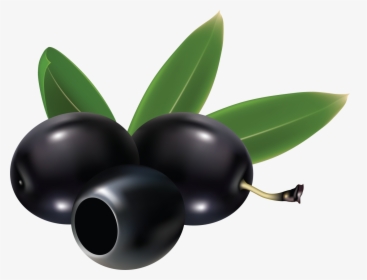 Olives Png Image - Black Olives Clip Art, Transparent Png, Transparent PNG