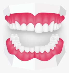 Tooth Grinding Toothbeary - Mouth Guard Clipart, HD Png Download, Transparent PNG