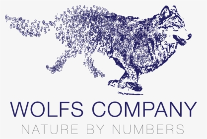 Wolfs-usb, HD Png Download, Transparent PNG