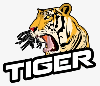 Logo Tiger Png Hd, Transparent Png, Transparent PNG