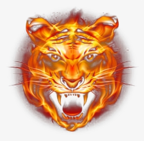 Tiger Flame Png, Transparent Png, Transparent PNG