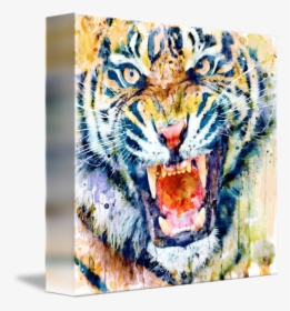 Tiger Face Watercolor Closeup By Marian Voicu - Angry Tiger Watercolour, HD Png Download, Transparent PNG