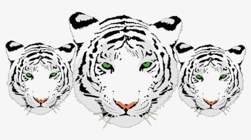 White Tiger Head Png, Transparent Png, Transparent PNG