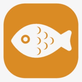 Fish Favicon Png, Transparent Png, Transparent PNG