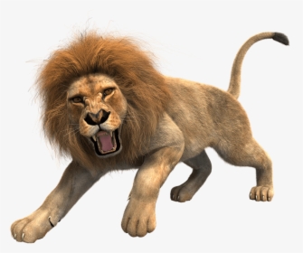 Lion Png Clipart - Roaring Lion Transparent Background, Png Download, Transparent PNG