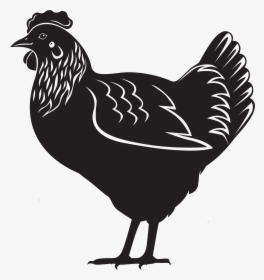 Hen Png Download - Layers Chicken Black And White, Transparent Png, Transparent PNG