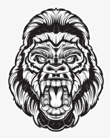 Gorilla Drawing Face, HD Png Download, Transparent PNG