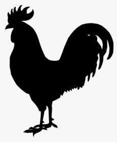 Rooster Clipart, HD Png Download, Transparent PNG
