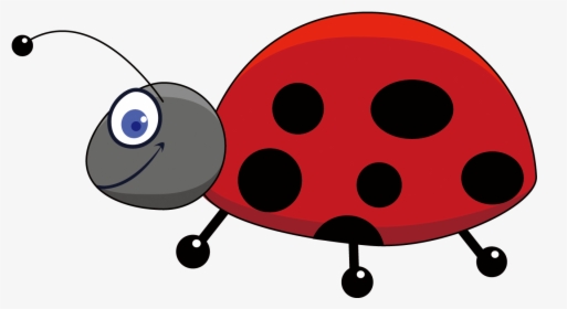 Ladybug Insect Png Download Image - Insects Cartoons, Transparent Png, Transparent PNG
