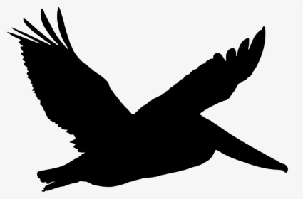 Silhouette,kite,wing - Flying Pelican Silhouette Png, Transparent Png, Transparent PNG