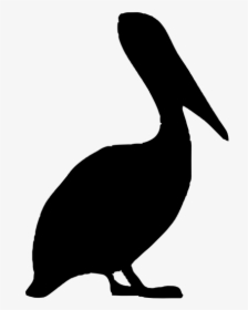Pelican Silhouette - Brown Pelican Clipart Pelican Silhouette, HD Png Download, Transparent PNG