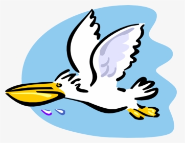 Vector Illustration Of Large Water Bird Pelican Flying - Cartoon Pelican Flying, HD Png Download, Transparent PNG