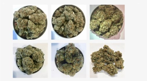 Kind Guy Delivery Maine Weed - Igneous Rock, HD Png Download, Transparent PNG