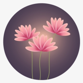 Water Lily, HD Png Download, Transparent PNG