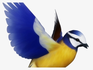 Transparent Flying Bird Clipart - Colorful Flying Birds Png, Png Download, Transparent PNG