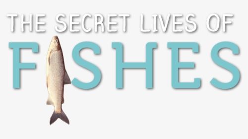 Secret Lives Of Fishes - Pull Fish Out Of Water, HD Png Download, Transparent PNG