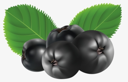 Blueberries Png - Aronia Clipart, Transparent Png, Transparent PNG