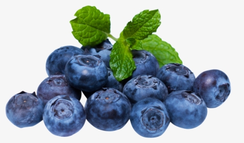 Blueberry With Leaf Png Image - Blueberry Png, Transparent Png, Transparent PNG