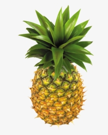 Pineapple Png Image - Pineapples Png, Transparent Png, Transparent PNG