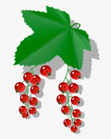 Redcurrant, HD Png Download, Transparent PNG