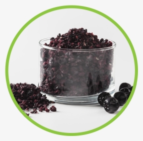 Aronia Berries Are Healthy And Easy To Transport In - Elderberry, HD Png Download, Transparent PNG