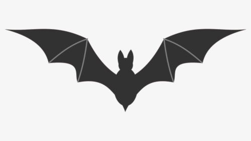 Horror Bat, HD Png Download, Transparent PNG
