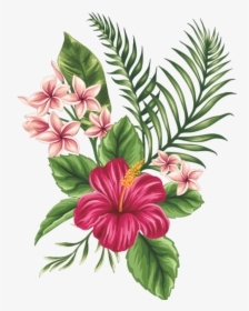 Tropical Flowers Drawing, HD Png Download, Transparent PNG