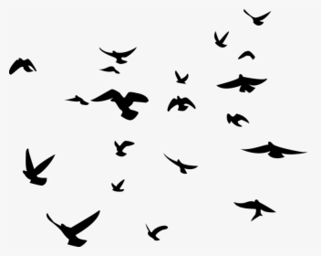 Bird Background Birds Transparent - Flock Of Birds Silhouette Png, Png Download, Transparent PNG