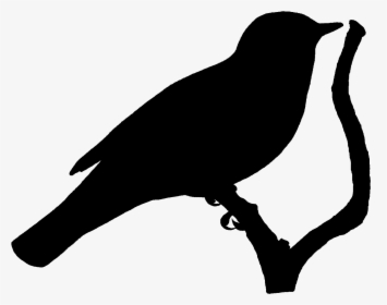 Perching Bird Silhouette, HD Png Download, Transparent PNG