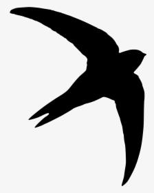 Swift Bird Swift Silhouette, HD Png Download, Transparent PNG