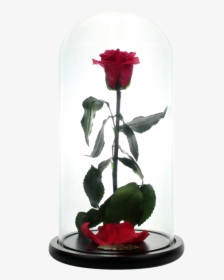 Beauty And The Beast Rose Png - Red Roses Beauty And The Beast, Transparent Png, Transparent PNG