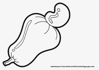 Nut Clipart Cashew Nut - Clipart Black And White Cashew, HD Png Download, Transparent PNG