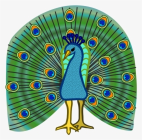 Coloured Picture Of Peacock, HD Png Download, Transparent PNG