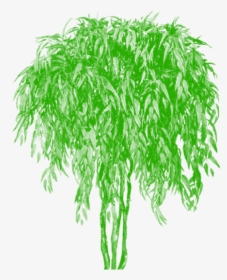 Plants And Trees, HD Png Download, Transparent PNG