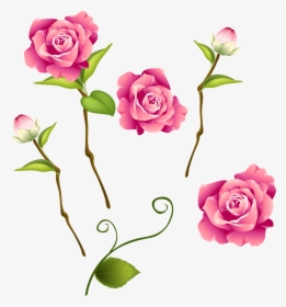 Transparent Falling Roses Png - Blossom Rose Png, Png Download, Transparent PNG