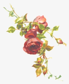 Single Red Rose Png Clipart Image - Vintage Roses, Transparent Png, Transparent PNG