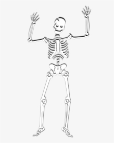 Halloween Skeleton Png Photos - Cute Skeleton With Transparent Background, Png Download, Transparent PNG