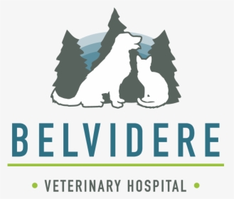 Belvidere Veterinary Hospital - Jim Crow Colored Sign, HD Png Download, Transparent PNG