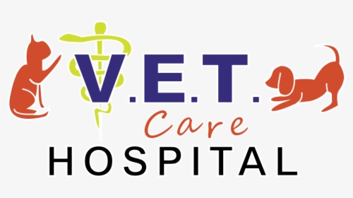 Vet Care Hospital - Graphic Design, HD Png Download, Transparent PNG
