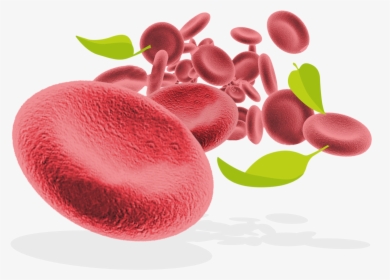 Red Blood Cells And Leaves - Red Blood Cells Png, Transparent Png, Transparent PNG