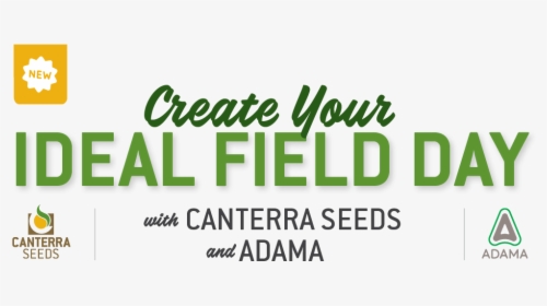 Create Your Ideal Field Day - Calligraphy, HD Png Download, Transparent PNG