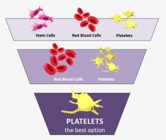 Purple Graphic With Icons For Platelets, Red Blood, HD Png Download, Transparent PNG