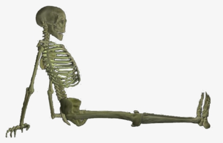 Full Body Skeleton Png Pic - Shotgun, Transparent Png, Transparent PNG