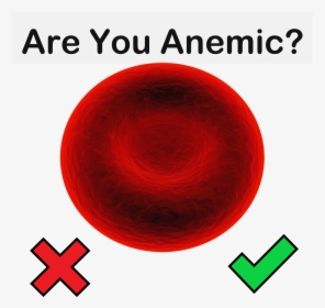 Are You Anemic - Circle, HD Png Download, Transparent PNG