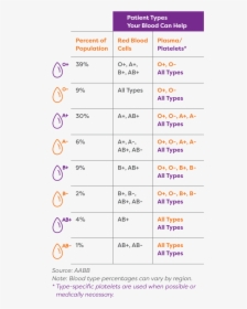 O Makes Up 39% Of The Population - Blood Type Chart Percentage, HD Png Download, Transparent PNG