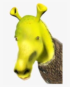 Transparent Donkey Shrek Png - Transparent Donkey From Shrek, Png Download, Transparent PNG