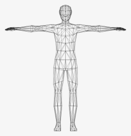 Human Clipart Blank Body - Transparent Human Body Clipart, HD Png Download, Transparent PNG