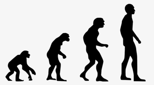 Evolution, Human Evolution, The Theory Of Evolution - Theory Of Evolution Png, Transparent Png, Transparent PNG